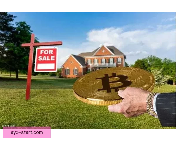 世界杯竞猜入口全面指南助你轻松掌握投注技巧与赛果分析