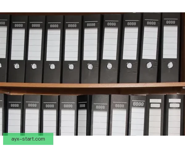 世界杯竞猜入口全面指南助你轻松掌握投注技巧与赛果分析