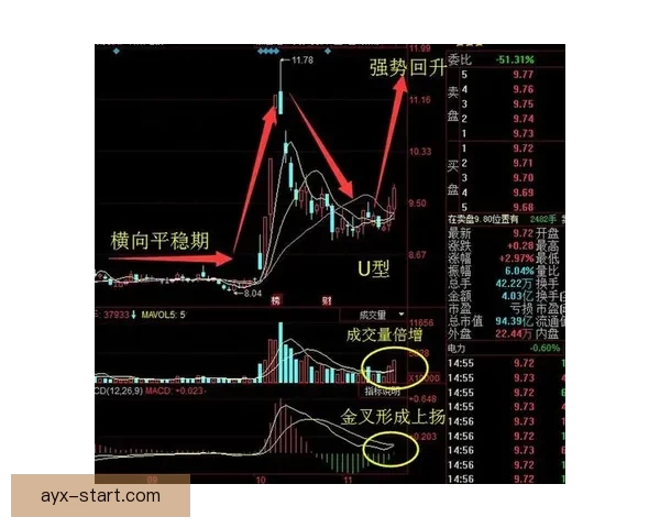 2026世界杯夺冠赔率持续震荡背后强队格局与黑马机会深度解析